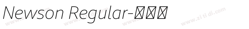 Newson Regular字体转换